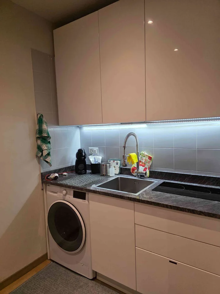 Rent 1.5 rooms in convenient location in Lugano Cornaredo