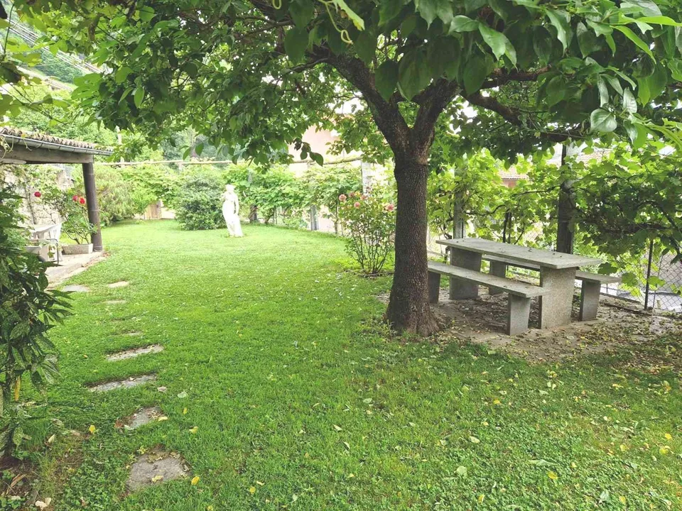 appartamento in affitto