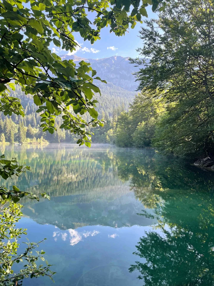 StayBasicAlps Frühjahr/Sommer