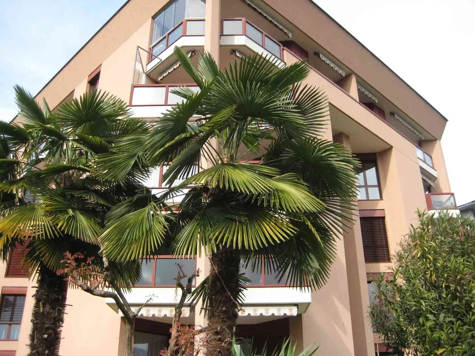 Wunderschöne Wohnung mit Seeblick – Letztes Stockwerk!