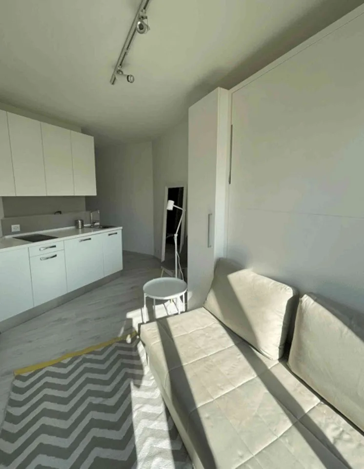 Modernes, gemütliches 1.5-Zimmer-Studio in begehrter Lage von Castagno