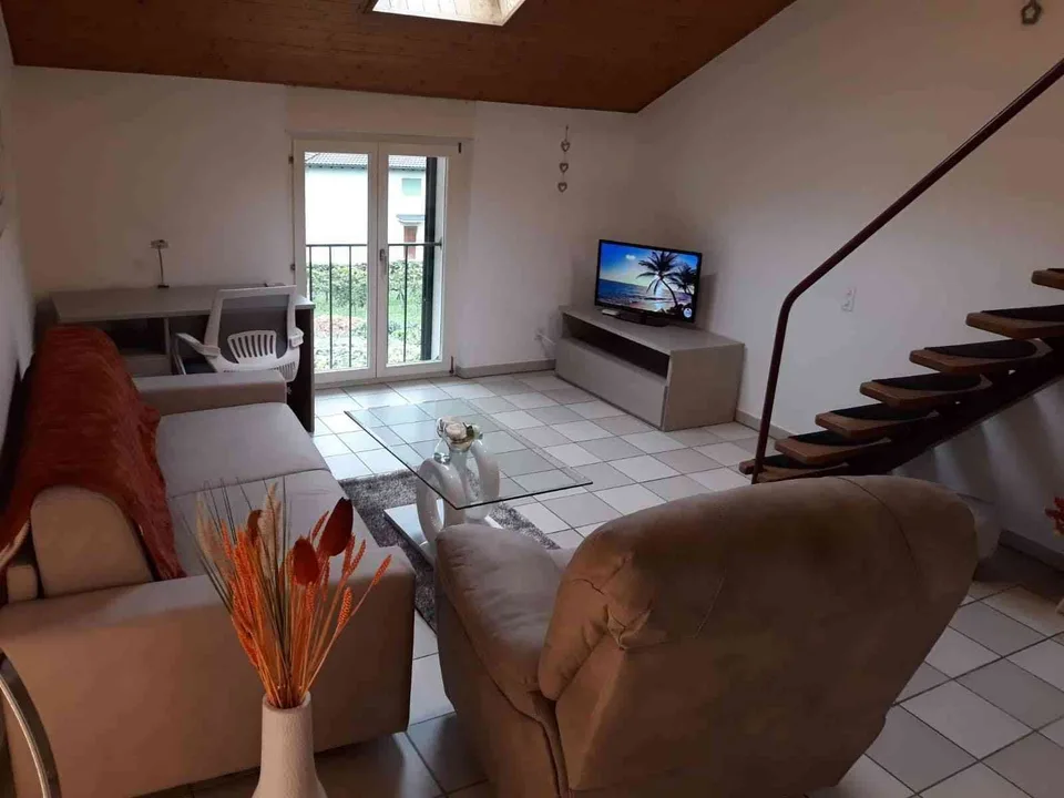 2 Ferienwohnung: 50qm und 65 qm