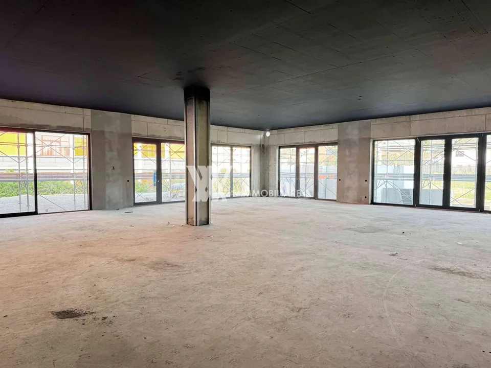 MENDRISIO: STABILE COMMERCIALE - ARTIGIANALE – photo 6 of 11
