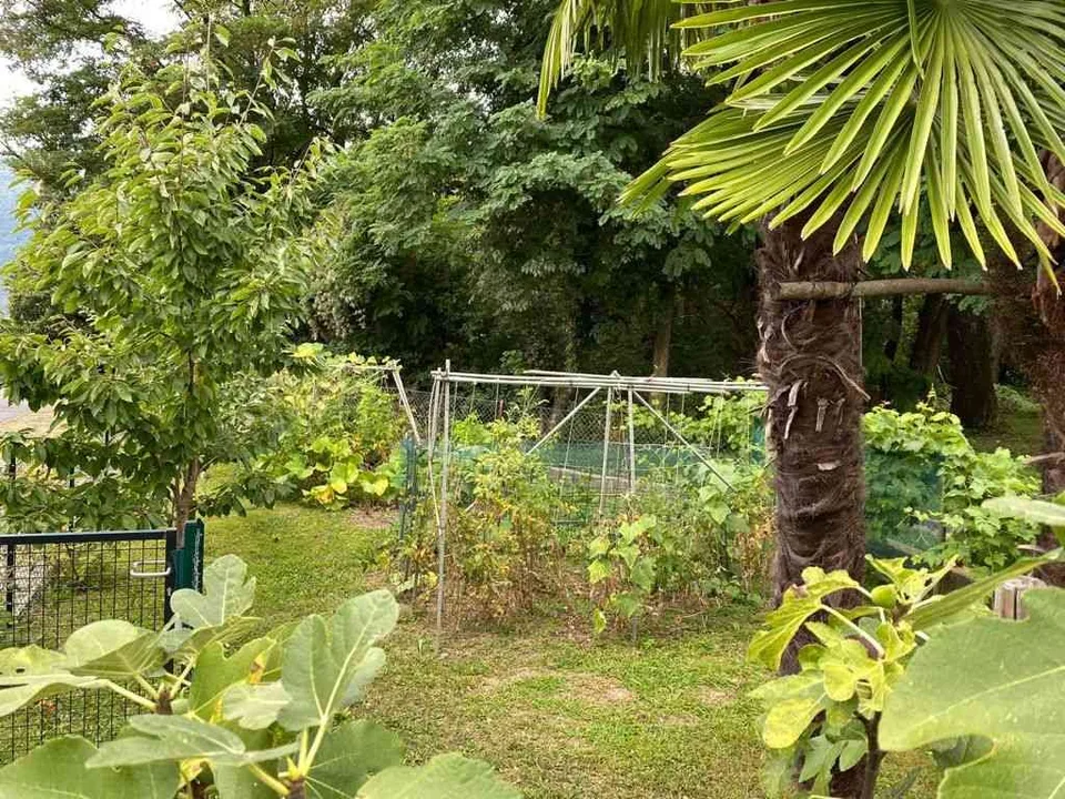 Nuova casa moderna a Cadempino - Lamone, al confine con Cureglia.