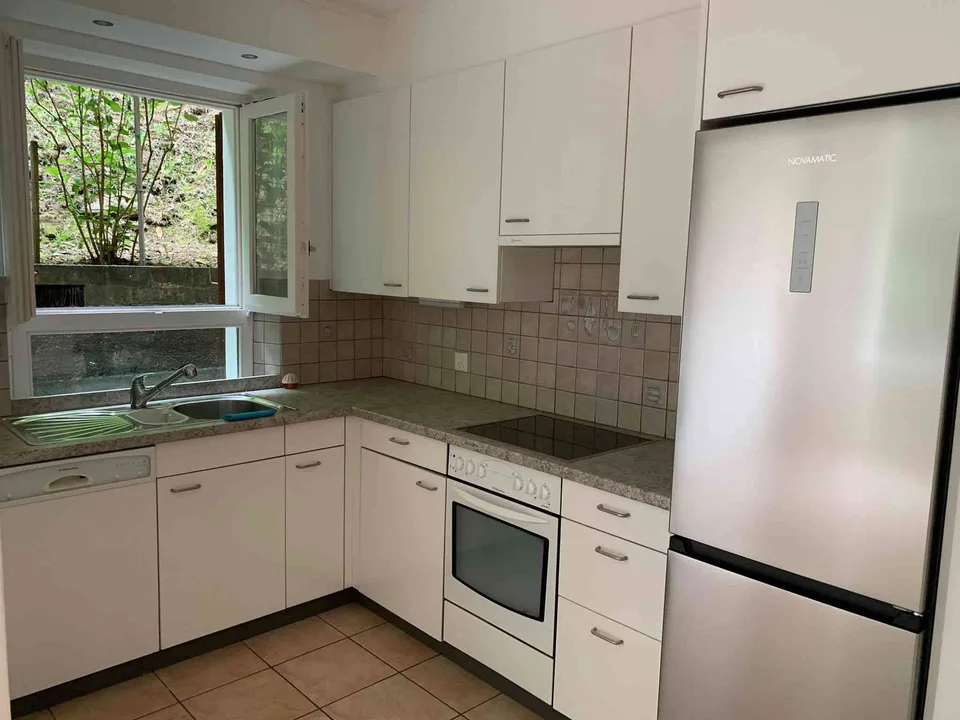 Appartamento 4.5 locali Agra con giardino