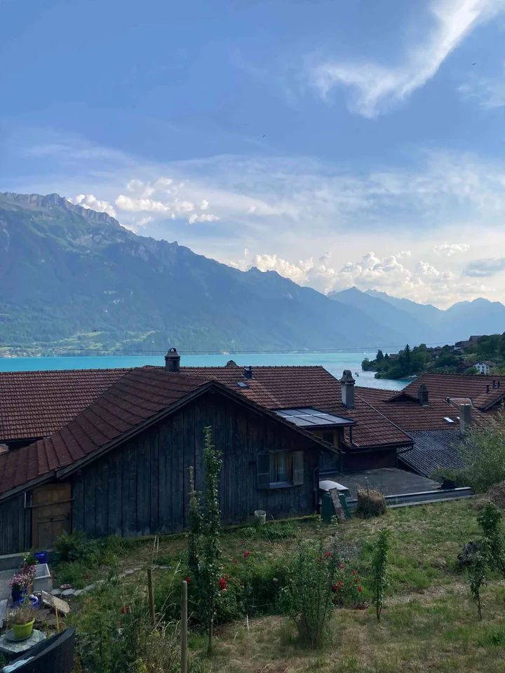 3½-Zimmerwohnung mit traumhafter Aussicht auf den Brienzersee