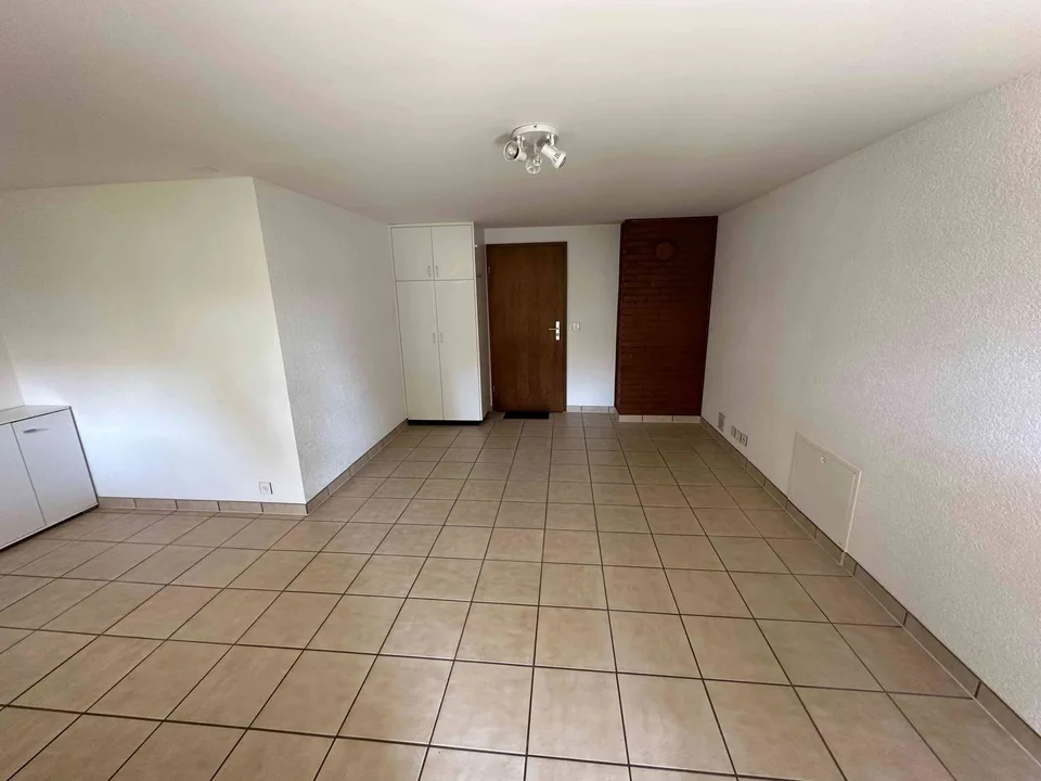 Helle Wohnung 44 m2 mit guter Lage und grosszügige Terrasse 43 m2