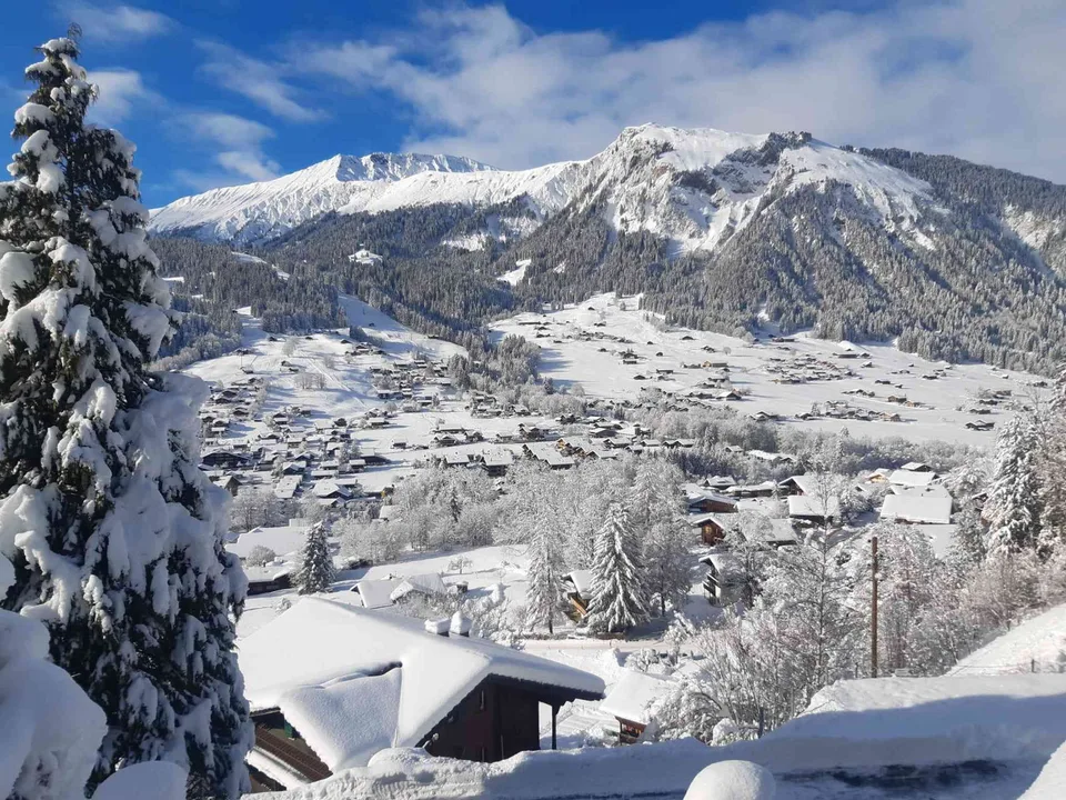 Ferienwohnung zur Dauermiete am Bühlberg in Lenk