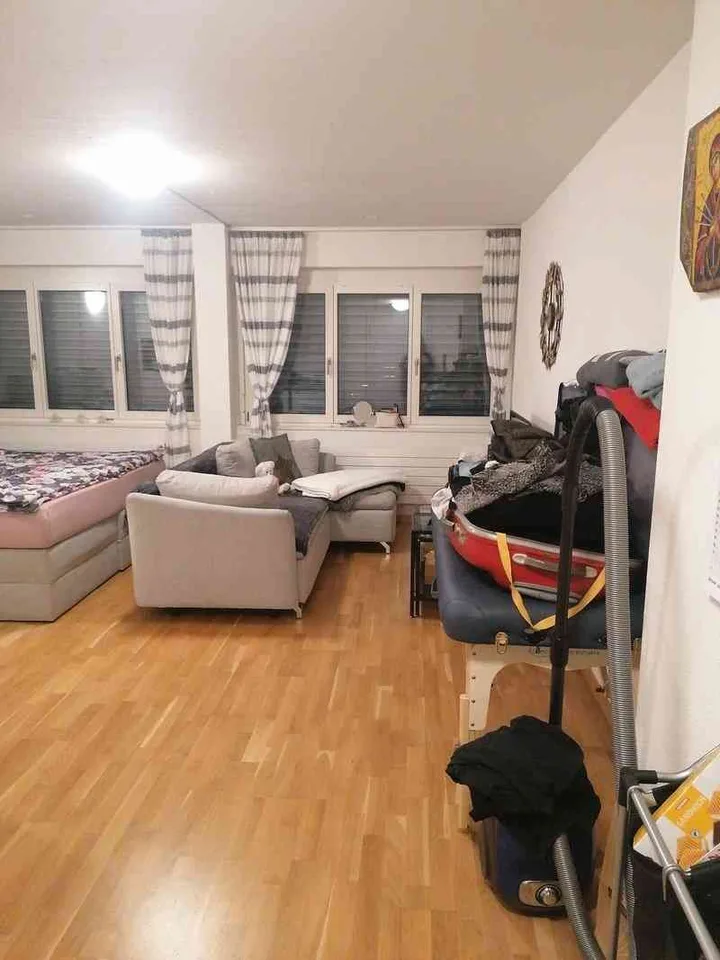 A spacious and renovated apartment in Lausanne