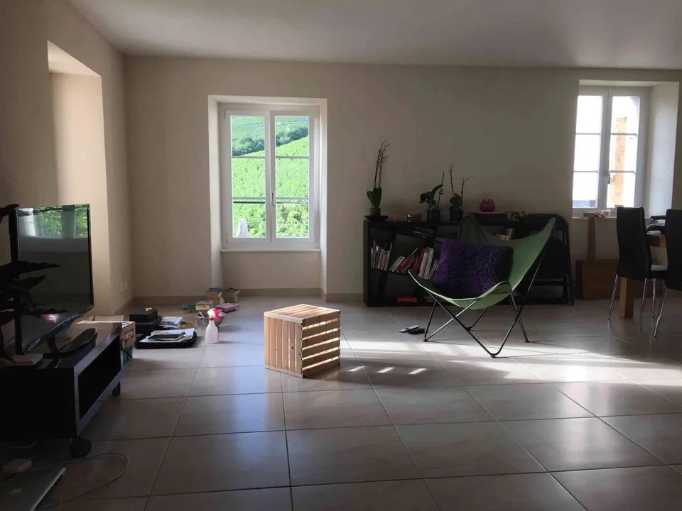 APPARTEMENT A LOUER
