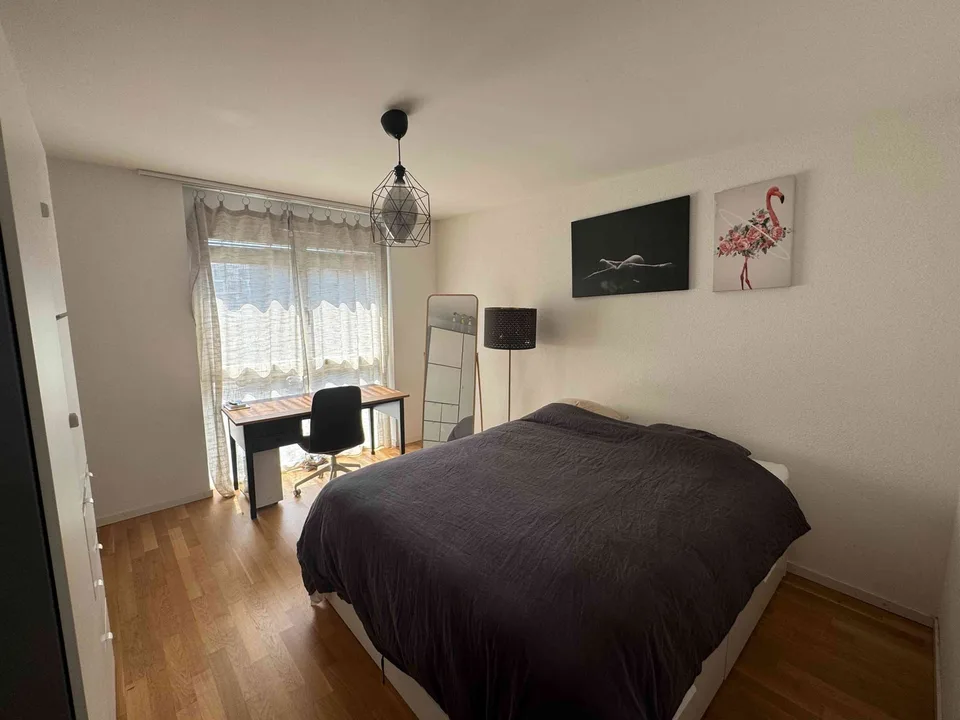 Très bel appartement Saint Sulpice