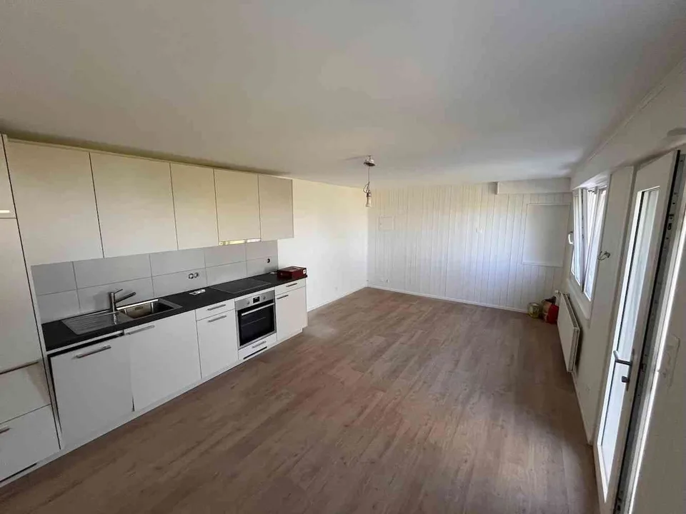 Dans la nature, appartement rénové à neuf, belle vue, terrasse, jardin