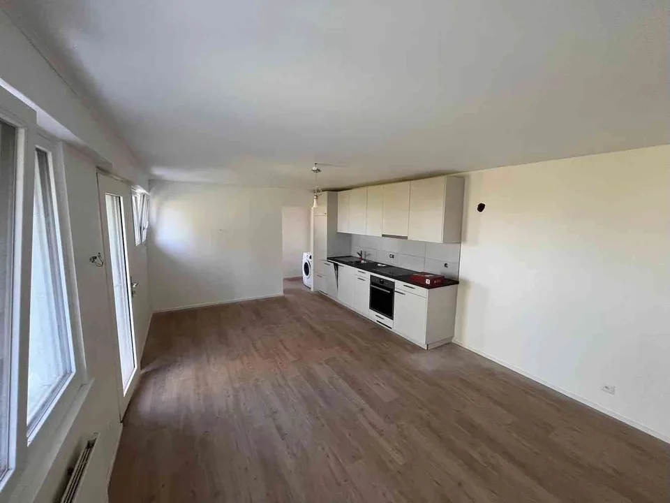 Dans la nature, appartement rénové à neuf, belle vue, terrasse, jardin