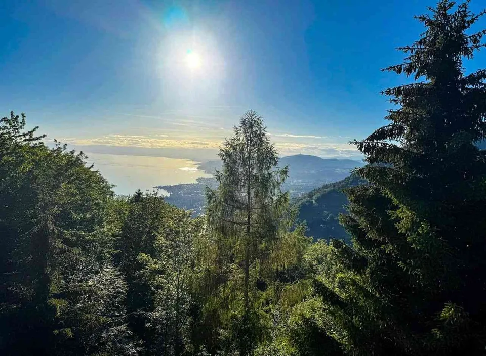 Charming Chalet in Caux – Nature, Views & Easy Access to Montreux