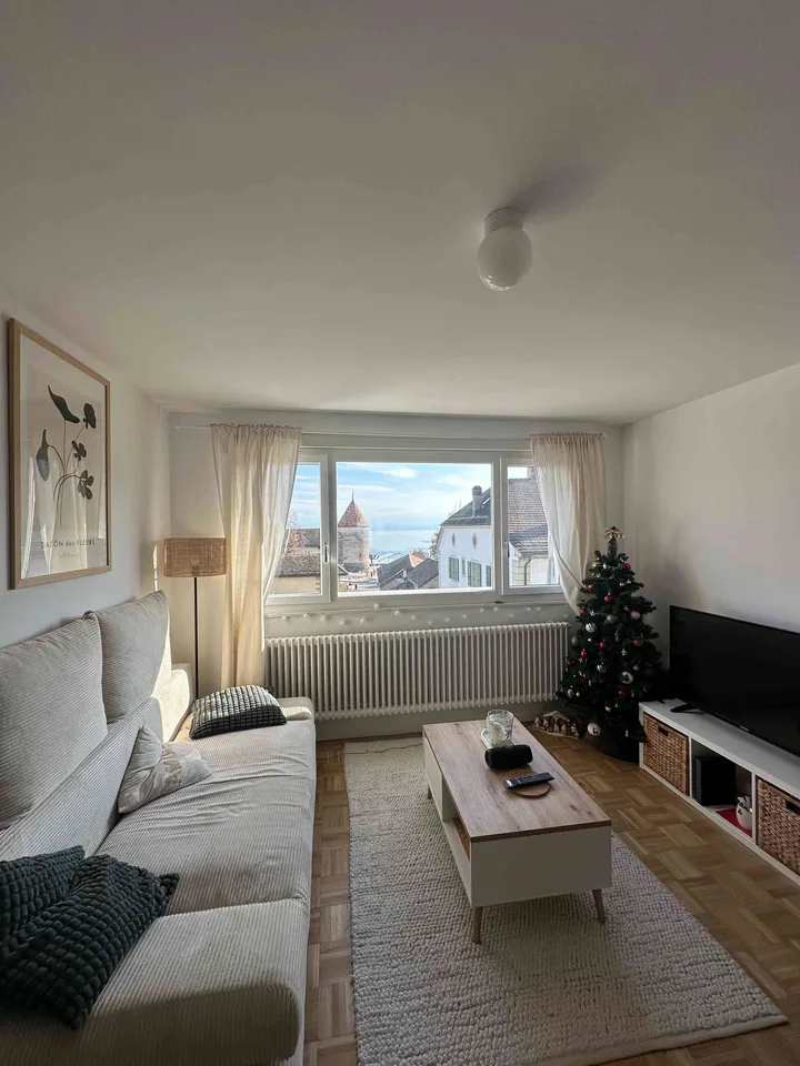 Appartement vue sur le lac léman