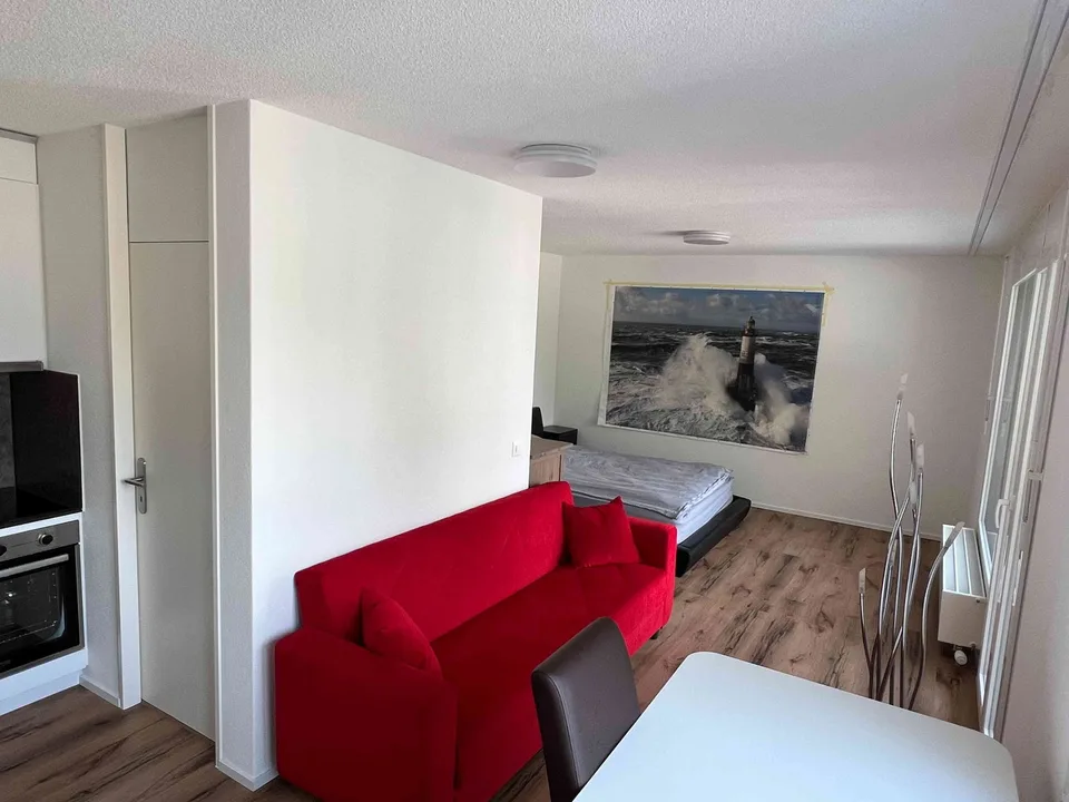 Möbliertes 1.5-Zimmer Studio mit Ausblick auf Alpen