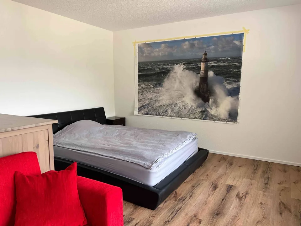 Möbliertes 1.5-Zimmer Studio mit Ausblick auf Alpen