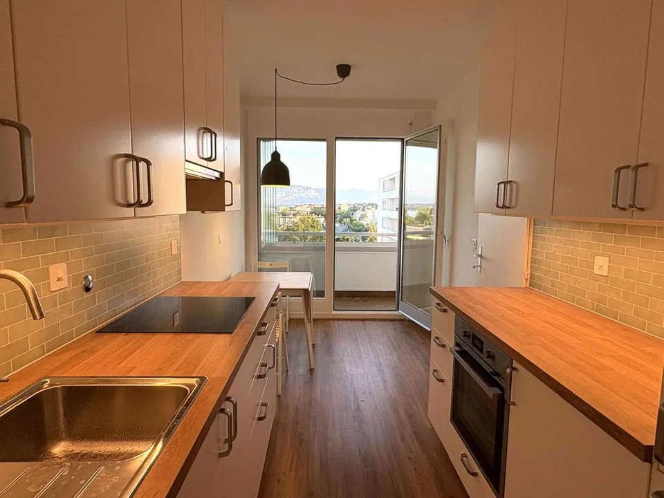 Appartement rénové avec vue sur le lac / Lake view refurbished apartm.