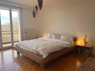 Lovely Eaux-Vives Apartment