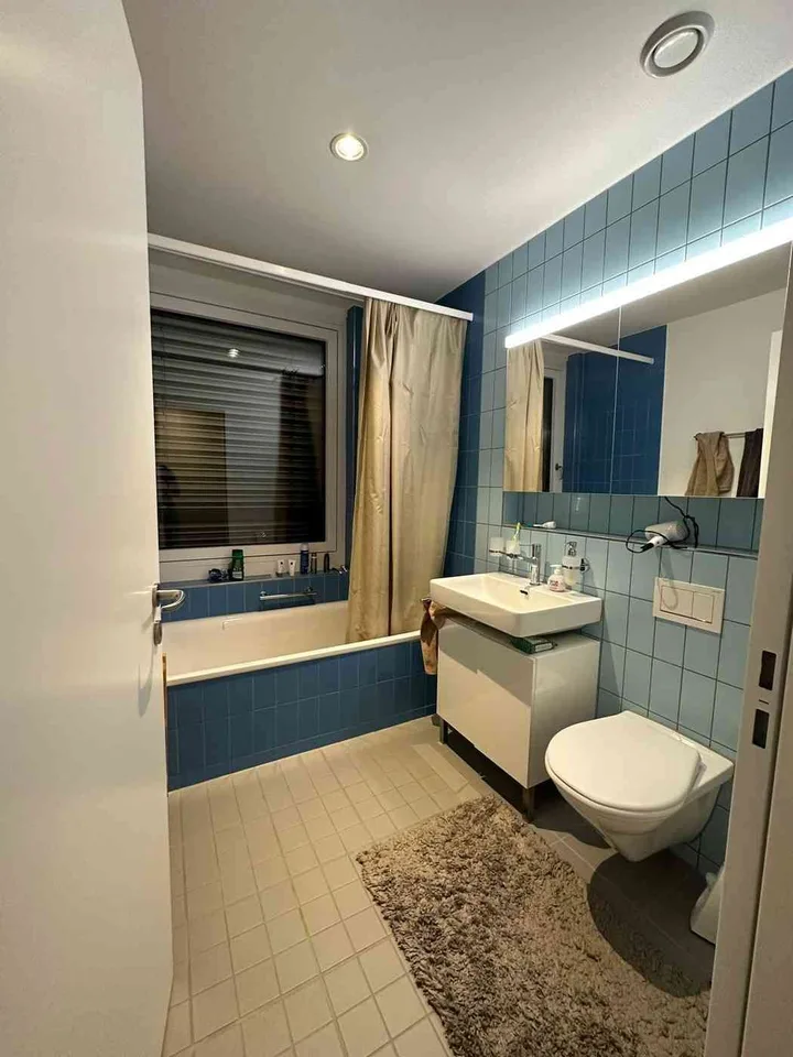 Comfortable Apartment right in the Heart of Geneva