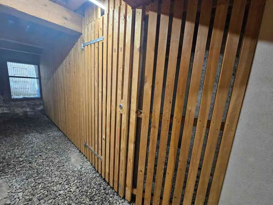 Cave à louer – Quartier des Grottes (3 min à pied de la gare Cornavin)