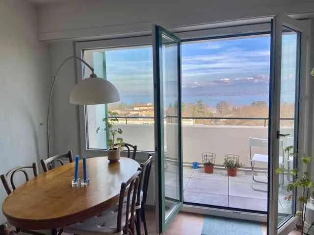 Apartment (1bdrm): Stunning views of the lake, Mont Blanc, Saleve