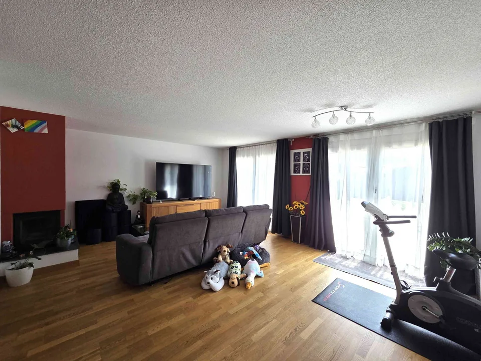 Rheien-Einfamilienhaus direkt am Rhein