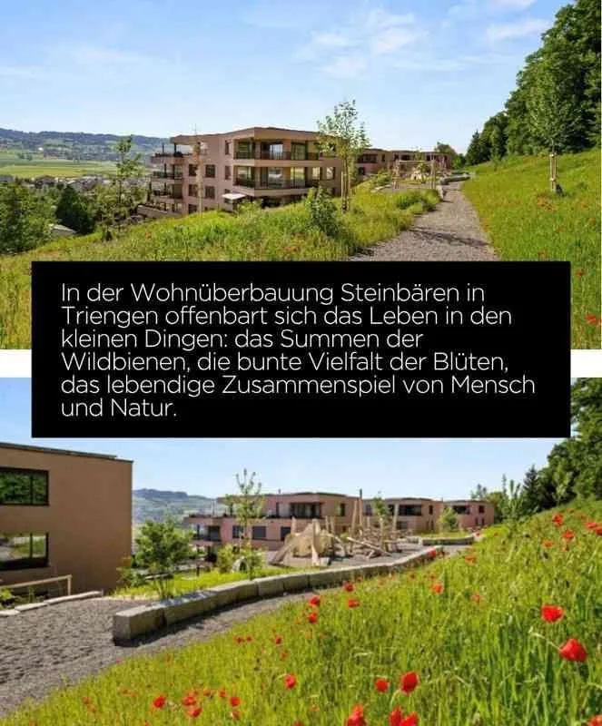 NEUBAU: Sehr grosse 2½-Zimmer-Gartenwohnung – photo 7 sur 7