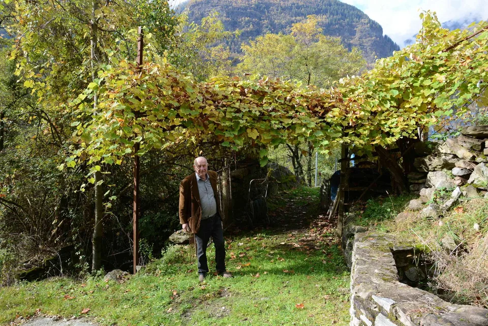 Rustico im Weinberg...!!
