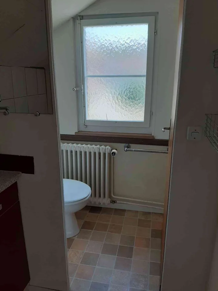 Neu renovierte 2 1/2 Wohnung