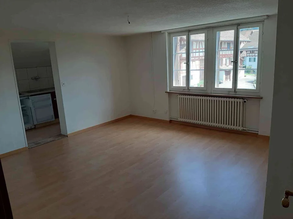 Neu renovierte 2 1/2 Wohnung