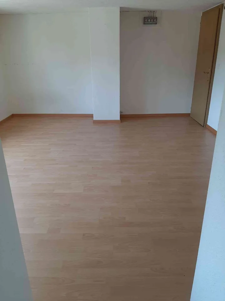 Neu renovierte 2 1/2 Wohnung