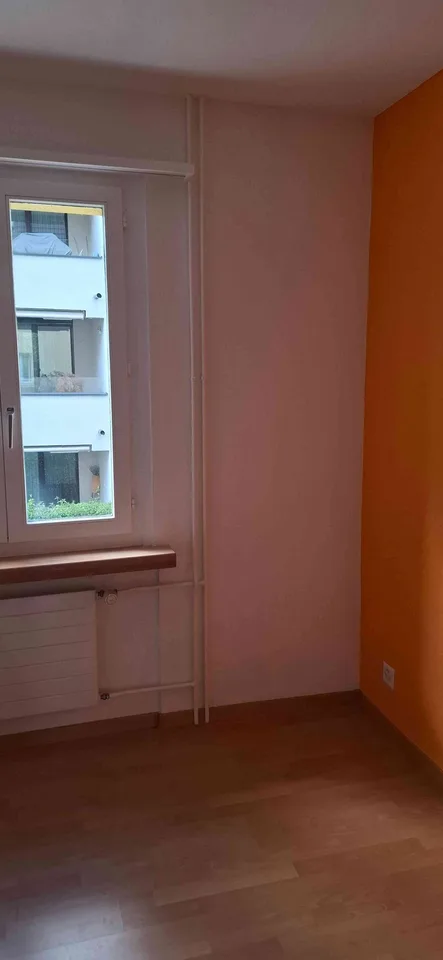 4.5 Zimmer Wohnung