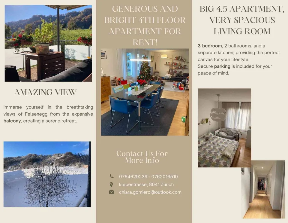 Sunny 4.5-Room Apartment with Panoramic Views – Zurich 8041