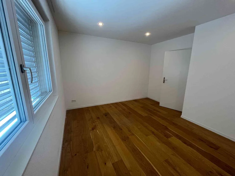 Modernes Studio/Büro (33.5 m²) an Top-Sichtlage in Aesch LU – am Bach