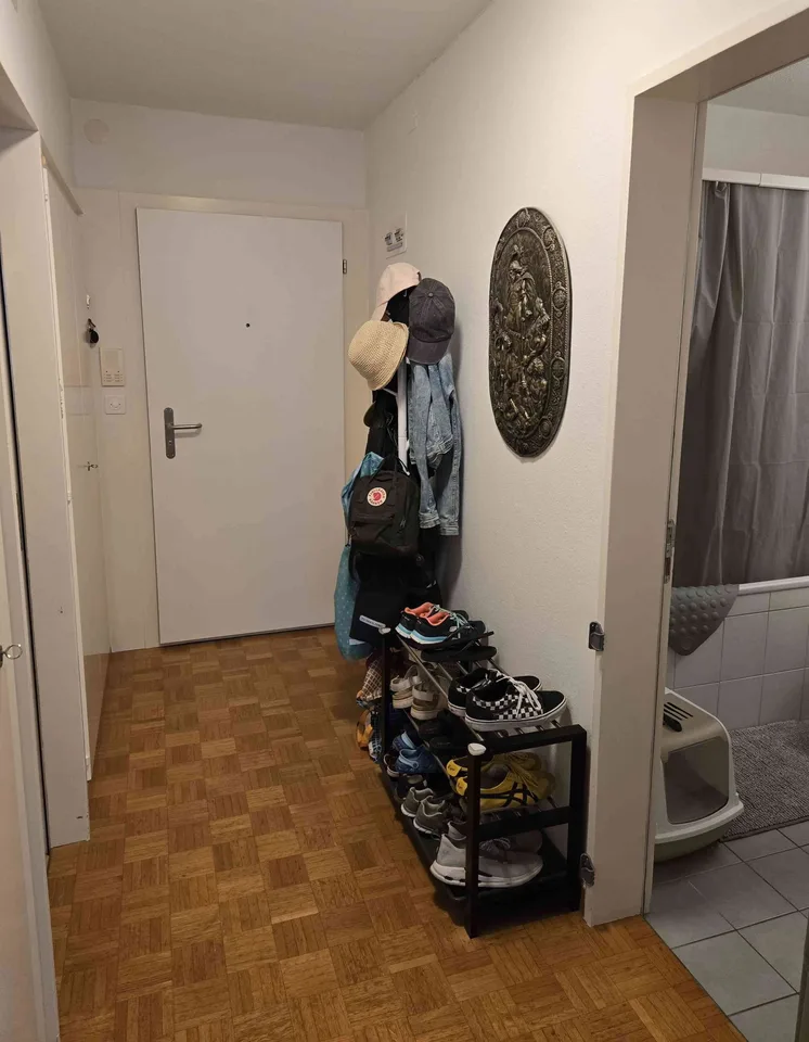 Helle 3.5 Zimmer Wohnung in Horgen zu vermieten