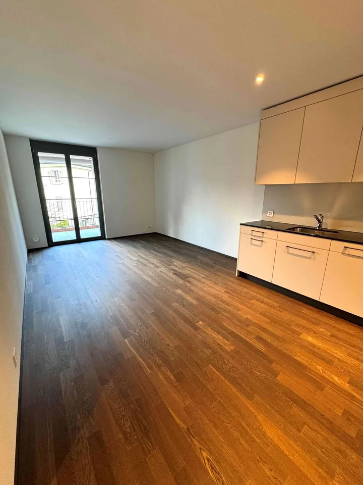 2.5 Zimmer Wohnung ; Küssnacht am Rigi ; Modernes Wohnen im Zentrum
