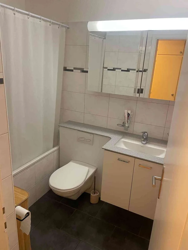 Helle 3.5-Zimmer-Wohnung in Ebikon – Nachmieter ab 01.11.2026 gesucht