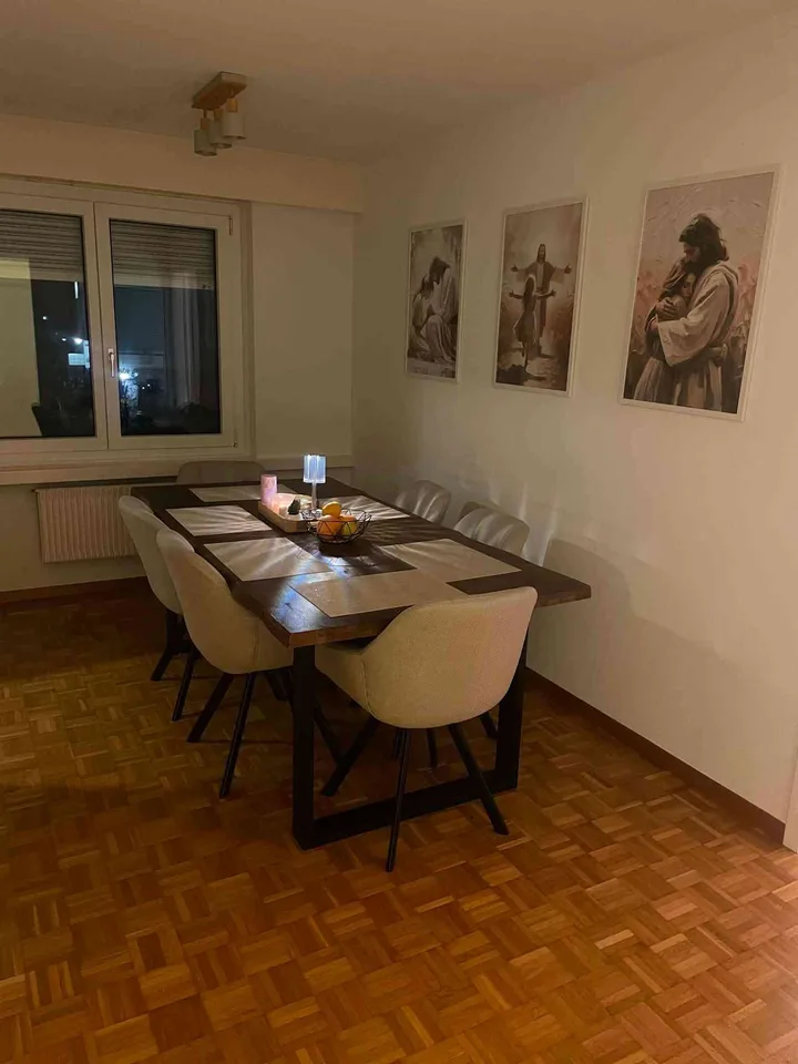 Helle 3.5-Zimmer-Wohnung in Ebikon – Nachmieter ab 01.11.2026 gesucht