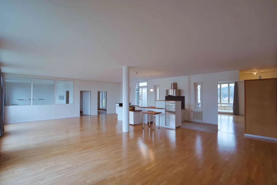 3.5 Zimmer grosszügige haustierfreundliches Loft mit Aussicht