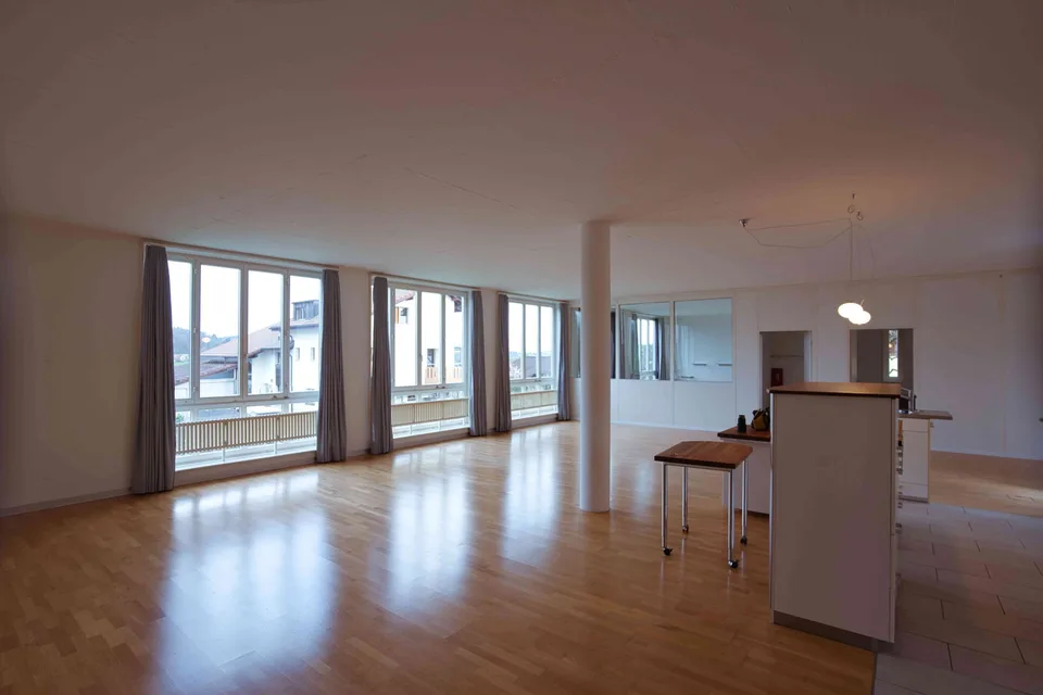 3.5 Zimmer grosszügige haustierfreundliches Loft mit Aussicht