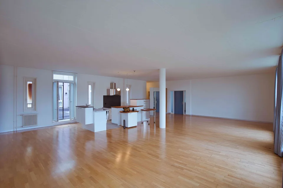 3.5 Zimmer grosszügige haustierfreundliches Loft mit Aussicht
