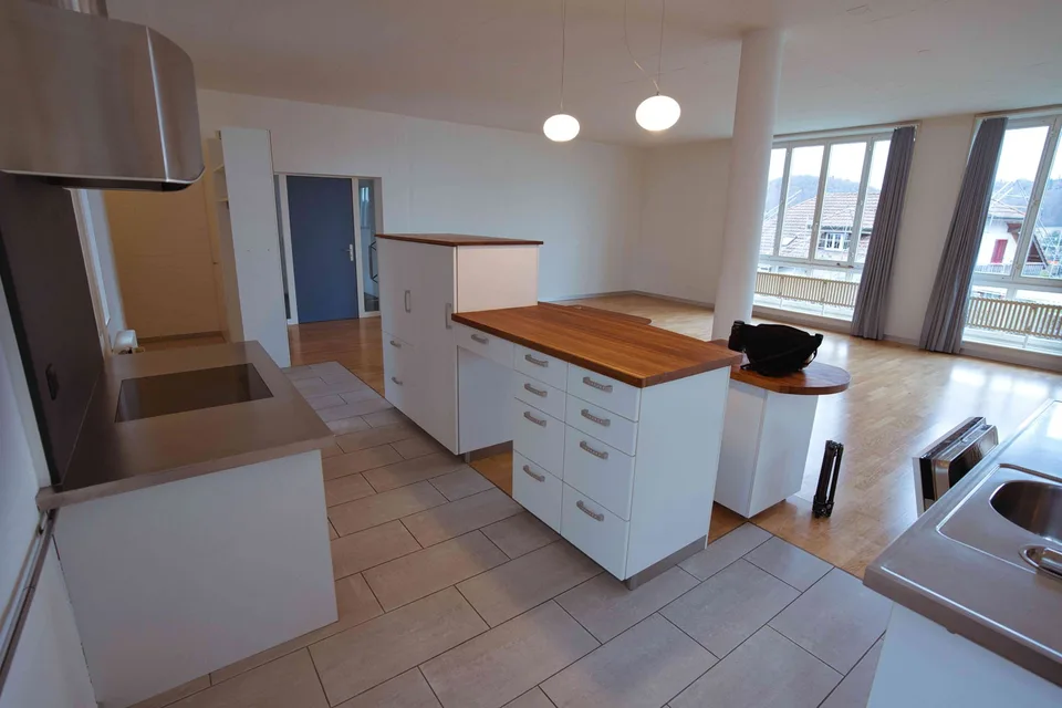 3.5 Zimmer grosszügige haustierfreundliches Loft mit Aussicht