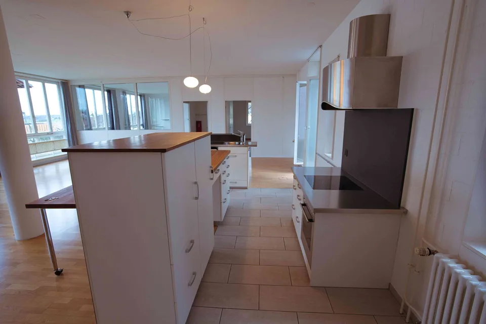 3.5 Zimmer grosszügige haustierfreundliches Loft mit Aussicht