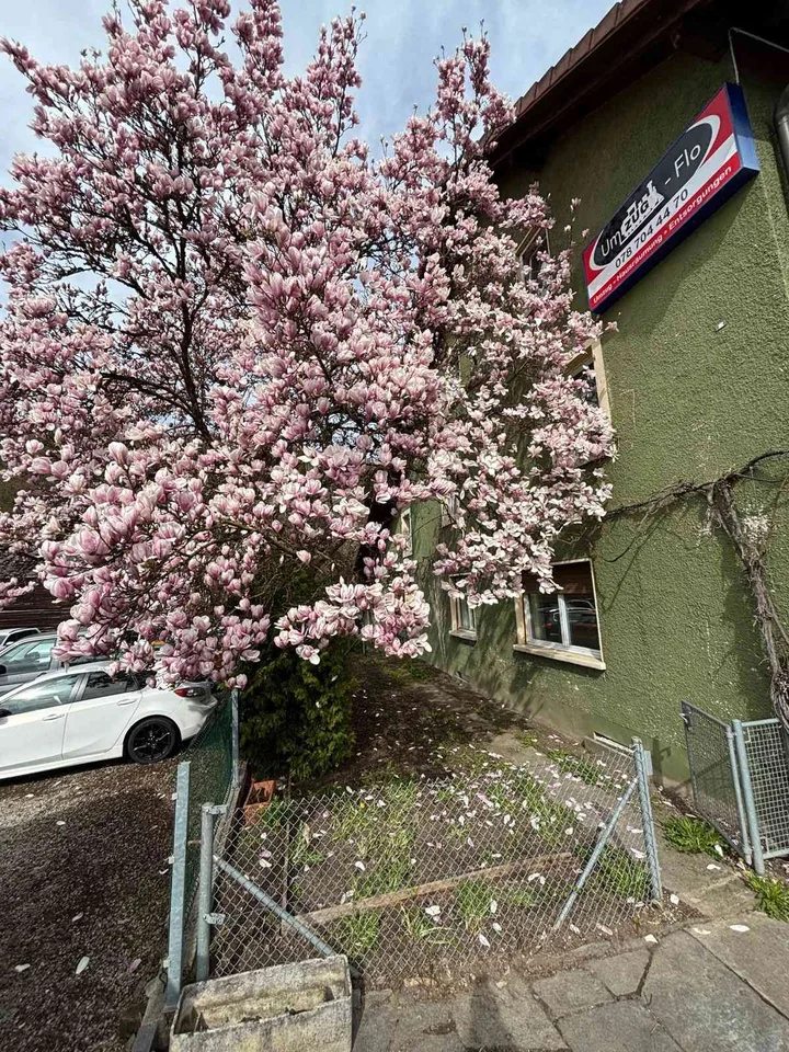 Günstige 3 Zimmer Parterrewohnung mit neuer Küche