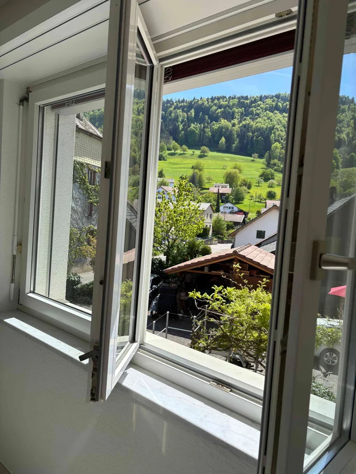 Helle 2.5-Zimmer-Wohnung mit Aussicht