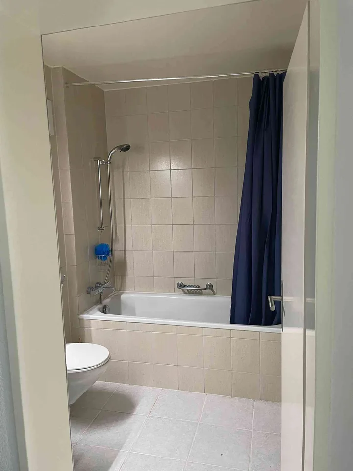 Attraktive 2.5-Zimmer-Attikawohnung mit grosser Terrasse