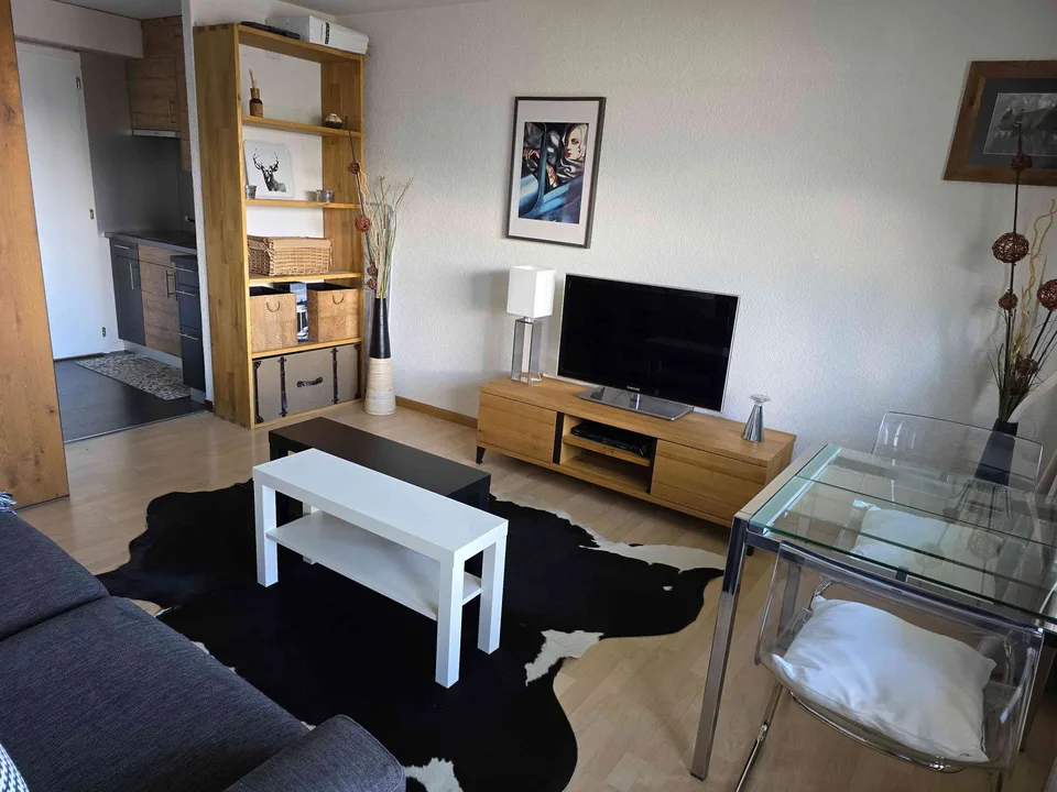 Charmant studio entièrement rénové
