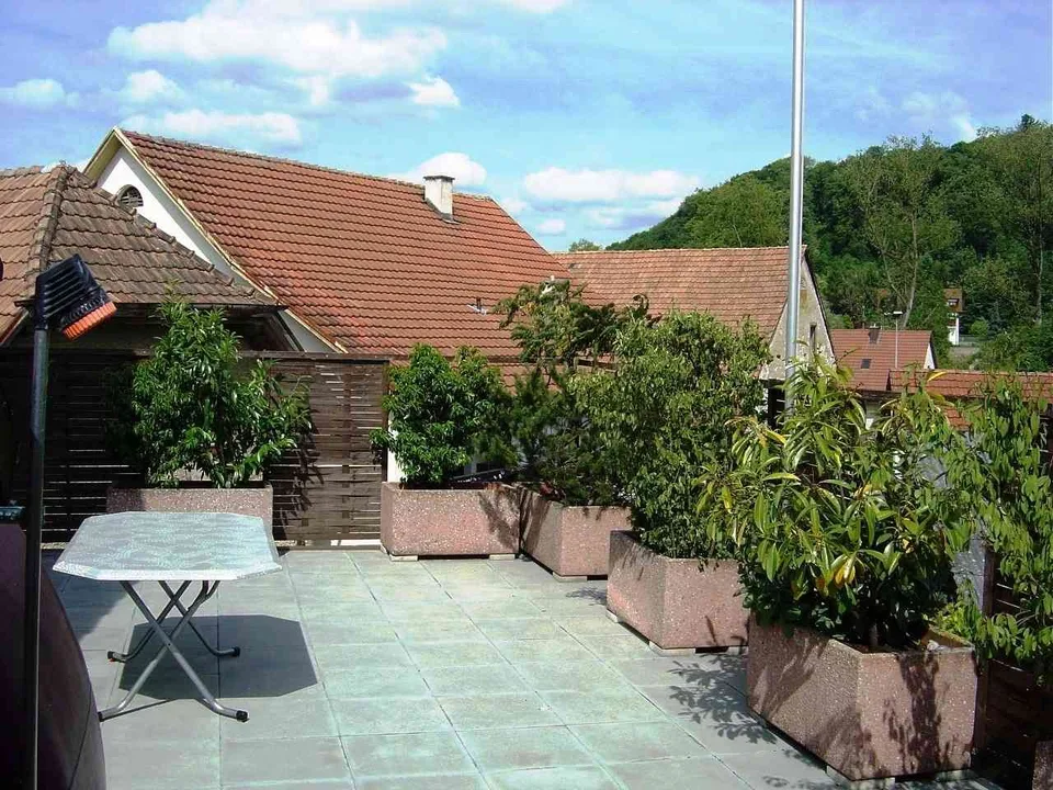 Attikawohnung mit grosser Terrasse