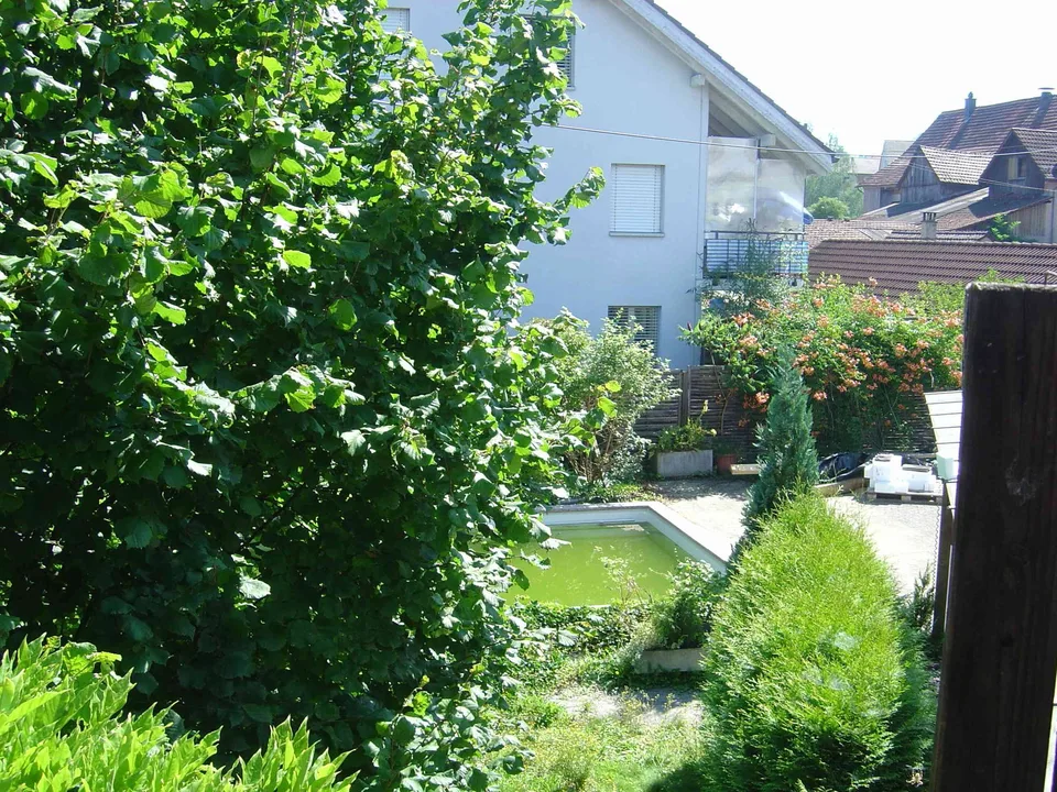 Attikawohnung mit grosser Terrasse